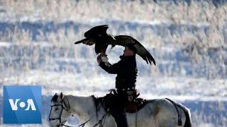 Eagle Hunters Compete at Traditional Kazakh Competition