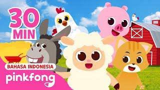 Binatang di Peternakan Pinkfong | Kumpulan Lagu Binatang dan Serangga | Baby Shark Indonesia