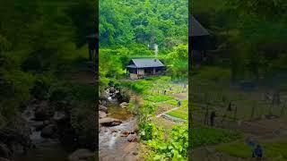 short video #nature #peacful voice real feel sound like good night #peacfull #releax #peace #naturel