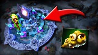 More Ward Spots From Pros In 7.35b