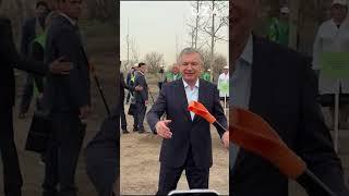 Shavkat Mirziyoyev daraxt ekish tadbirida ishtirok etdi