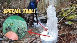 This Tool Gets Chunky GOLD Others Miss! Pacific Northwest Gold Prospecting.