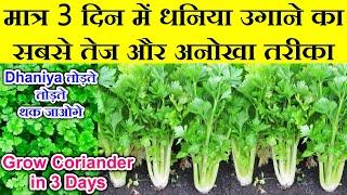 सिर्फ 3 दिन मे धनिया उगाने का बिल्कुल नया तरीका|3 din me dhaniya kaise ugaye|Grow Coriander in 3 day