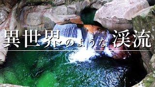 【まるで異世界】滝と淵だらけの美しい渓流で大物を狙う！【渓流釣り】