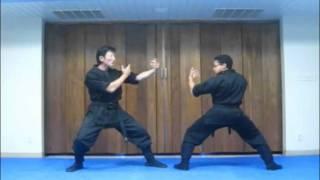 Chosun Ninja fails with Nintaijutsu