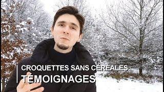 Croquettes sans céréales Avis et TÉMOIGNAGES Catastrophiques #4