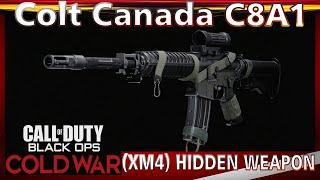 Black Ops Cold War Colt Canada C8A1 (XM4) Hidden Weapon Gameplay