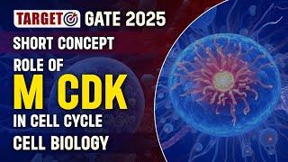 Role of M CDK in Cell Cycle | Cell Biology Short Concept | GATE 2025