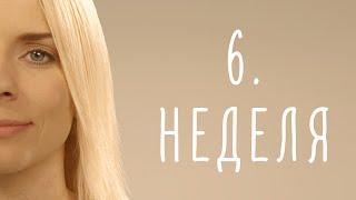 6. неделя беременности