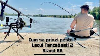 PESTE DUPA PESTE LA LANSETA - Lacul Tancabesti 2 - Montura preferata care face ravagii