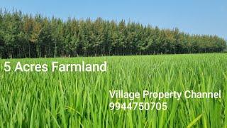 Ad:29 Farmland 5 Acres Near Cheyyur Village Property Channel