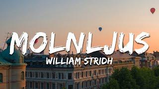 William Stridh - Molnljus (Lyrics)