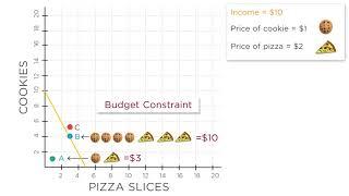 1.6 Budget Constraints