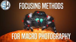 How to Focus in Macro Photography