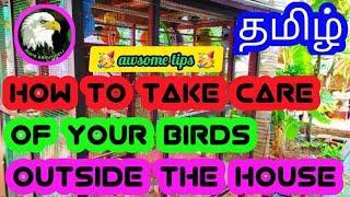 how to take care of birds outside the house | tamil | more about pets | MAP |