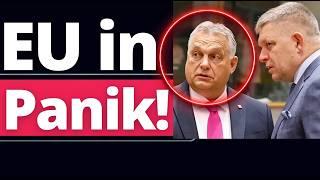 Orban und Fico senden Schockwelle durch EU!