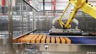 Alitech pick and place bread depanning robot