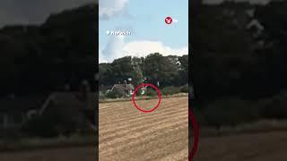 Suspected 'big cat' filmed walking through field in Norwich #shorts