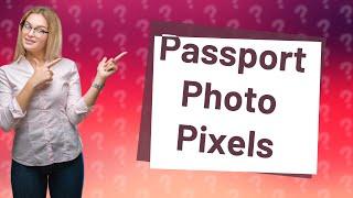 What pixel size are online passport photos?