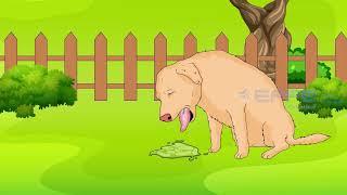 Pet Care Clinic 2D Animation | Motion Graphics by EFFE Animation