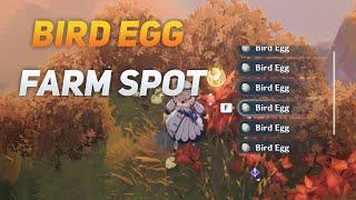 Where To Find Bird Eggs - Genshin Impact