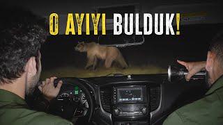 O AYIYI BULDUK! GECE SAFARİSİ