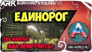 ARK Единорог Как приручить и где найти?! Эквус и Лассо ARK Survival Evolved!