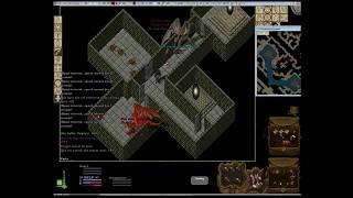 Ultima Online UO:R Solo PKing Tamers