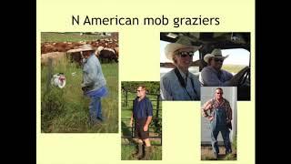 Mob grazing: An expert shares 10 years of insights and experiences on using the farming technique