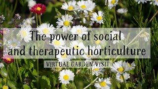 The power of social and therapeutic horticulture in Surrey