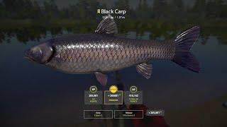 BEAR LAKE SPOT FOR BLACK CARP TROPHY    Russian Fishing 4 RF4