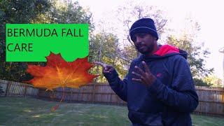 FALL BERMUDA LAWN CARE / 4 THINGS YOU NEED TO DO RIGHT NOW