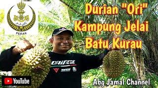 Durian "Ori" Kampung Jelai Batu Kurau, Perak