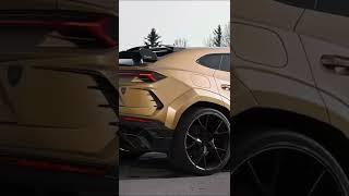 Lamborghini Urus  #lambo  #cars #car #carsdaily #cartok #shorts #lamborghiniurus #grindersmusic