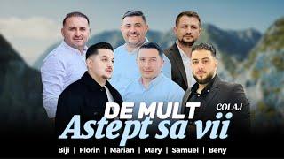 Fratii din Barbulesti - DE MULT ASTEPT, VINO ISUSE ( Colaj 2024 )