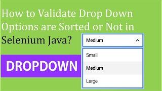 How to Validate Dropdown Options are Sorted using Selenium Java?