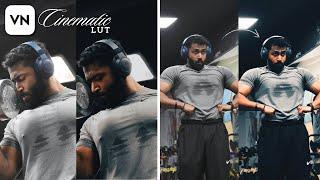 Free Cinematic Urban Gym LUT (Filter) for VN, Capcut, Premiere Pro & Davinci Resolve!