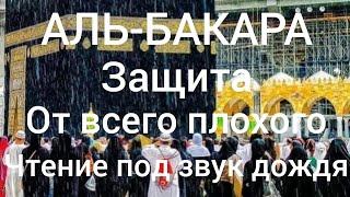 Al-Bakarah,Сура аль-Бакара чтение под звук дождя.Омар Хишам. Защита от джинов.Слушать каждый день.