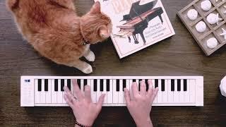 Carry-on folding Piano | FP49 | Playing demonstration