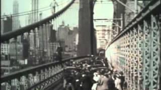 Tarzan jumps from Brooklyn Bridge