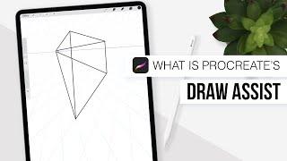 How to use Assisted Drawing Tool in Procreate