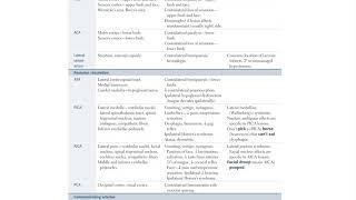 usmle first aid neurology 2