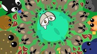 MOPE.IO DONKEY KILLS DRAGON! FUNNY MOMENTS *WINS & FAILS* / TROLLING PUFFERFISH (Mope.io Gameplay)