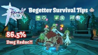 Begetter survival tips: Buffs for 86.5% final damage reduction?! | Ragnarok M