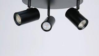 Lexi Lighting Brianna 3 Light Round Spot Light - Black