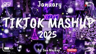 Tiktok Mashup January 2025 (Not Clean)