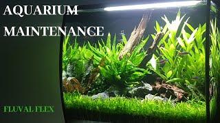 Fluval Flex Aquascape - Maintenance  - 2019