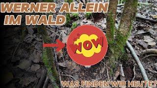 PILZTOUR / ALLEINE IM WALD / WAS FINDEN WIR HEUTE? #pilzesammeln #pilze #wald #natur #bayern  #pilz