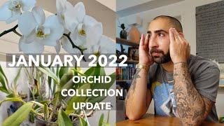 January 2022 Orchid Collection Update