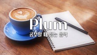 【𝐏𝐥𝐚𝐲𝐥𝐢𝐬𝐭】 공부할 때 듣기 좋은 잔잔한 피아노곡 모음 / Plum 음악 모음 (중간광고 X)